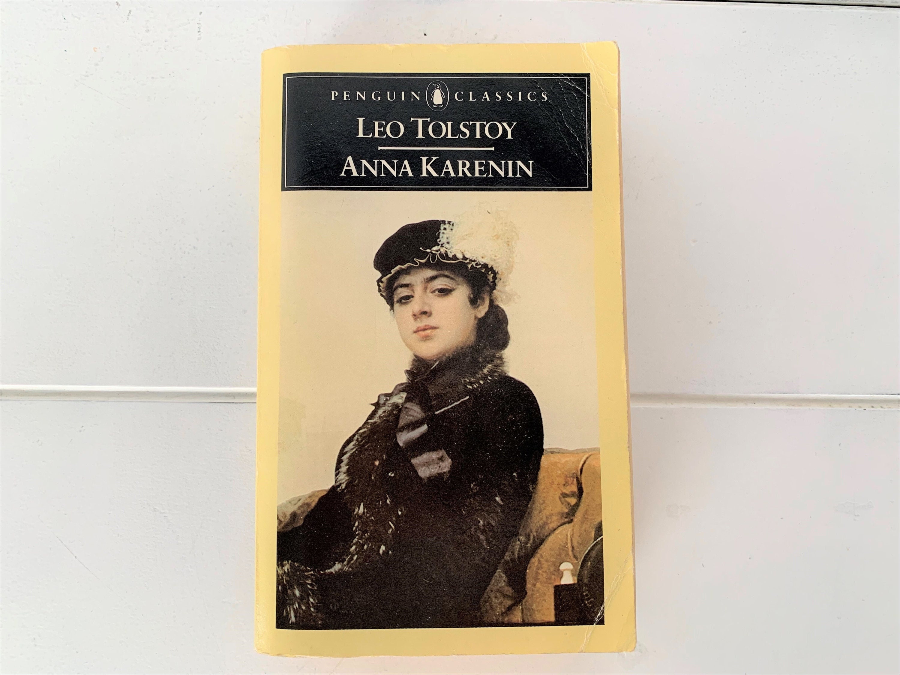 Anna Karenina Book Penguin