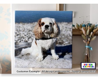 Pet Dog Cat Portrait Diamond Dust Glass Glitter Custom Picture Framed Photo Canvas Wall Art Print Unique Christmas Birthday Memorial Gift