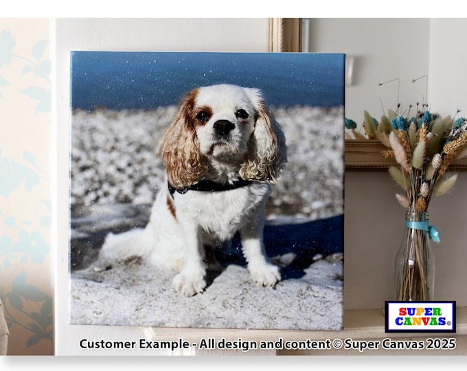 Pet Dog Cat Portrait Diamond Dust Glass Glitter Custom Picture Framed Photo Canvas Wall Art Print Unique Christmas Birthday Memorial Gift