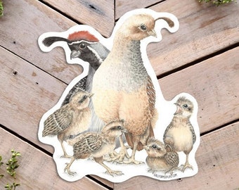 Quail Family Sticker, Quail Illustration, Desert Animal art sticker, baby quails and parents, vinyl bird sticker, funny cute bird sticker