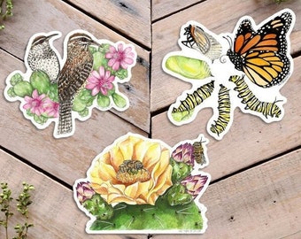 Desert Pollinator Stickers, Animal Illustration, Desert art stickers, cactus wrens, monarch butterfly metamorphosis, cactus bee stickers