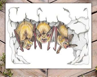 Bleiche Fledermäuse Art Print, Fledermaus Illustration, Fledermaus-Dekor, Entzückende bleiche Fledermäuse, Fledermäuse hängend