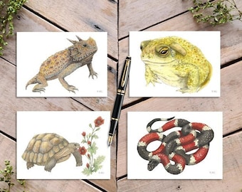 Reptile and Toad Notecards, Desert Herps, Horned Lizard Card, Coral Snake Card, Toad Card, Desert Tortoise Card