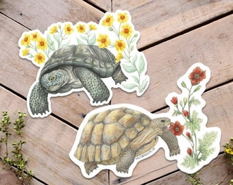 Desert Tortoise Sticker, Turtle Sticker, Tortoise Art, Sonoran Tortoise, cute turtle sticker, turtle lover gift, reptile sticker