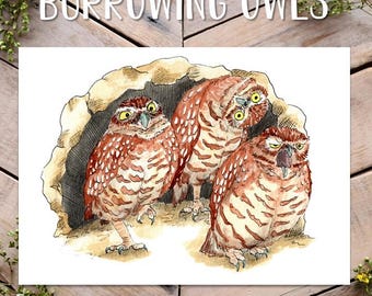 Burrowing Owls Art Print, Goofy Owl Art, Funny Desert Owl Gift
