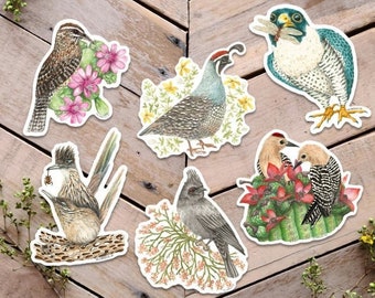 Desert Bird Stickers, Bird Illustration Stickers, Bird Lovers Gift, avian art, bird art and desert flora stickers, vinyl animal stickers