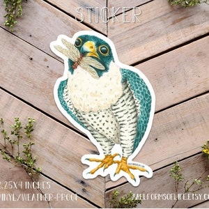 Peregrine Falcon Sticker, Bird of Prey Art Sticker, bird lover stickers, falcon and dragonfly art