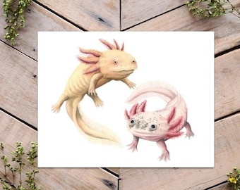Axolotl Art Print, Cute Amphibians, scientific illustration, axolotls illustration, I love axolotl lalala, axolotl wall art, salamander art