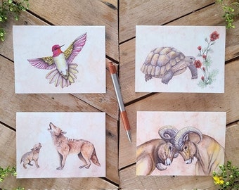 Sonoran Desert Fauna Notecards 4 Pack, scientific illustration, Tortoise card, Bighorn Sheep card, Hummingbird card, Coyote card, greeting