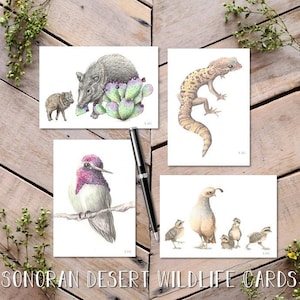 Sonoran Desert Wildlife Notecards, scientific illustration, nature cards, gecko greeting cards, Quail baby card, hummingbird, javelina card