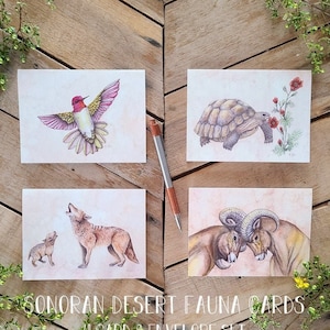 Lot de 4 cartes de correspondance sur la faune du désert de Sonora, illustration scientifique, carte de tortue, carte de mouflon d'Amérique, carte de colibri, carte de coyote, carte de voeux