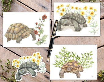 Desert Tortoise Card Pack with Sticker, Turtle Cards, Desert Turtle Art Notecards, Tortoise Greeting