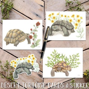 Desert Tortoise Card Pack with Sticker, Turtle Cards, Desert Turtle Art Notecards, Tortoise Greeting 3 Cards & Sticker