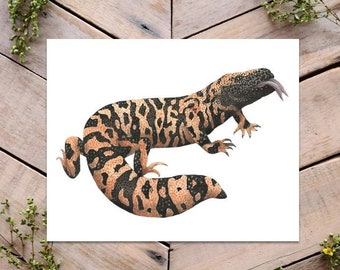 Gila Monster Illustration, Poster, Illustration, Poster für Küche, Poster, Poster, Kunstdrucke, Poster realistisch