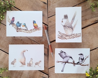 アリゾナの鳥のイラストカードセット、グリーティングカード、鳥のメッセージカード、ロードランナー、ホオジロ、モズ、ウズラのアートカード