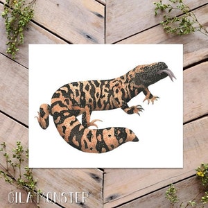 Gila Monster Illustration, Poster, Poster, Illustration, Poster, Drucke, Poster, Drucke, Poster, Kunst, Poster, Kunst, Poster