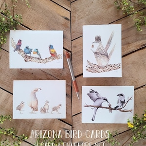 Arizona Birds Illustration Karten Set, Grußkarten, Grußkarten, RoadRunner, Girlanden, Würger, Wachteln, Buntstifte Kunst Karten