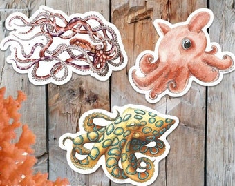 Octopus Sticker, Scientific Illustration, Blue Ringed Octopus, Mimic Octopus art, Dumbo colorful octopuses stickers, octopus decor, sea life