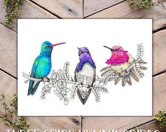 Three Desert Hummingbirds Art Print, Ironwood and Hummingbird Illustration, annas Hummingbird, costas, broad billed hummingbird art