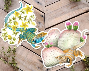 Collared Lizard Sticker, Eastern Collared Lizard, Great Basin Collared Lizard , Crotaphytus sticker, reptile sticker, desert lizard sticker