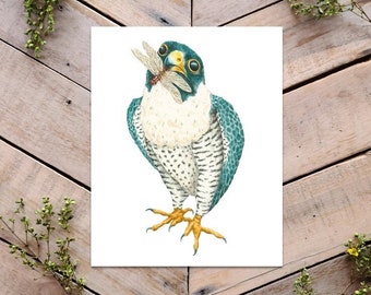 Peregrine Falcon Art Print, Falcon Illustration, Falcon and dragonfly Art, Bird of Prey illustration, Bird Lover Gift, Adorable bird art