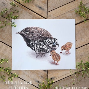 Montezuma Quail Family Art Print, Quail Art, Cute Funny Quail Chicks, Bird Family Illustration, Quail Babies with ladybug, ladybug art