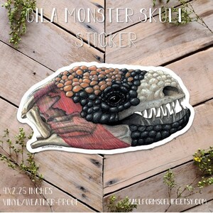 Autocollant composite de monstre de Gila, art de crâne de monstre de Gila, art de crâne de lézard, autocollant de lézard, autocollant de lézard du désert