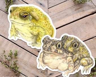 May include: Two watercolor illustrations of desert toads on white backgrounds. The first toad is yellow with brown spots and is sitting on its hind legs. The second toad is brown and gray with yellow spots and is sitting on its hind legs with another toad on its back. The stickers are 3.75 x 3.25 inches and are vinyl and weatherproof. The text "DESERT TOADS STICKERS" is at the top of the image. The text "ALLFORMSOFLIFE.ETSY.COM" is at the bottom of the image.