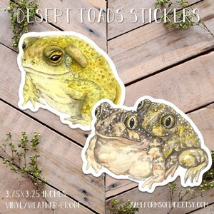 Sticker crapaud du désert, sticker crapaud crapaud, sticker crapaud du désert de Sonora, art crapaud du fleuve Colorado, sticker crapaud mignon, art amour crapaud