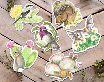 Desert Fauna Sticker Pack, Desert Animal Stickers, cotton tail rabbit, bighorn sheep, hummingbird, lizard, bird stickers, wildlife stickers