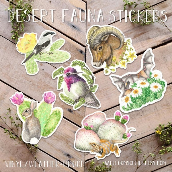 Desert Fauna Sticker Pack, Desert Animal Stickers, cotton tail rabbit, bighorn sheep, hummingbird, lizard, bird stickers, wildlife stickers