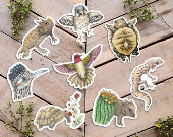 Desert Animal Stickers, Vinyl Critter Decals, Nature Art, Baby Javelina Sticker, Horned Lizard Sticker