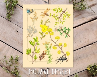 Mojave Desert Illustration Plate Art Print, Desert Art, Vintage Scientific Illustration Plate, Desert animals and plants, Carpenter Bee Art