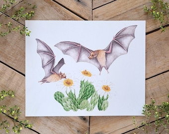 Bat Illustration Art Print, Lesser Longnosed bats feeding on Saguaro Cactus Flowers, cactus and bat art, mammal art, desert pollinator bats