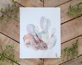 Hidden Baby Jackrabbit Art Print, Scientific Illustration