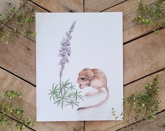 Desert Kangaroo Rat Illustration Art Print, Scientific Illustration, Desert Lupine Wildflower Art, Botanical Illustration, Cute Rat Mouse