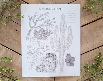 Sonoran Desert Cacti, Cactus Art Print, Scientific Illustration Plate, Inked Cactus Species Art, Cholla, Mammilaria, Barrel, Saguaro drawing