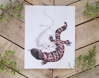 Gila Monster Lizard & Skeleton, Wissenschaftliche Illustration, Gila Monster Art Eidechsenschädel, Eidechsenkunst, Heloderma Sutumum, Eidechse Anatomie