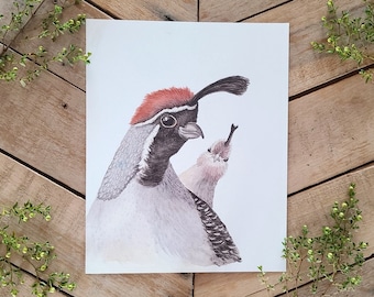 Quail Complexity Art Print,  Male and Female Gambel's Quails, Watercolor, Ink & Graphite, Sonoran Desert Wildlife