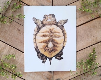 Hatchling Box Turtle Illustration Art Print, Watercolor painting, turtle art, baby turtle on its back with yolk sac, animal art, herp art