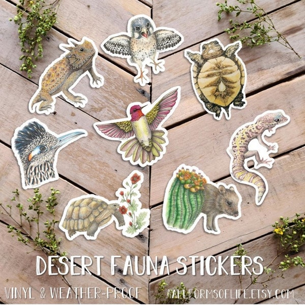 Desert Fauna Stickers, Animal Stickers, Cute Vinyl Critter Stickers, Nature Art, javelina, horned lizard, kestrel, jackrabbit, roadrunner