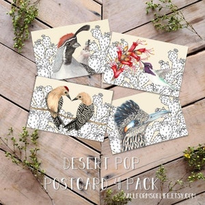 Lot de 4 cartes postales pop désert, cartes postales Oiseau du désert, art de cactus et d'oiseaux, notes d'oiseaux, illustration de cactus de figue de barbarie, lot de cartes postales amusantes, carte