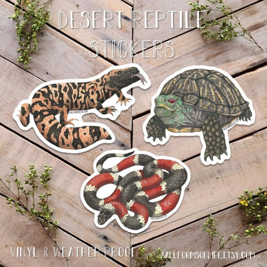 Desert Reptile Stickers, Lizard Sticker, Turtle Sticker, Snake Sticker ...