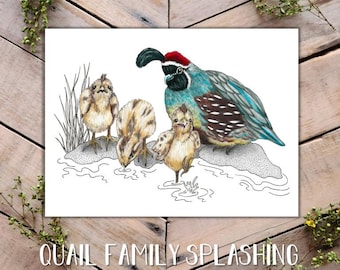Quail Family Splashing Art Print, Gambels Quails and Babies, funny quail art, baby quails