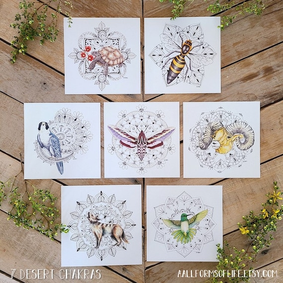 Chakras of Desert Wildlife, Desert Chakra, Energy Healing Art, Mandalas, Nature Illustration, metaphysical art, root, sacral, solar plexus