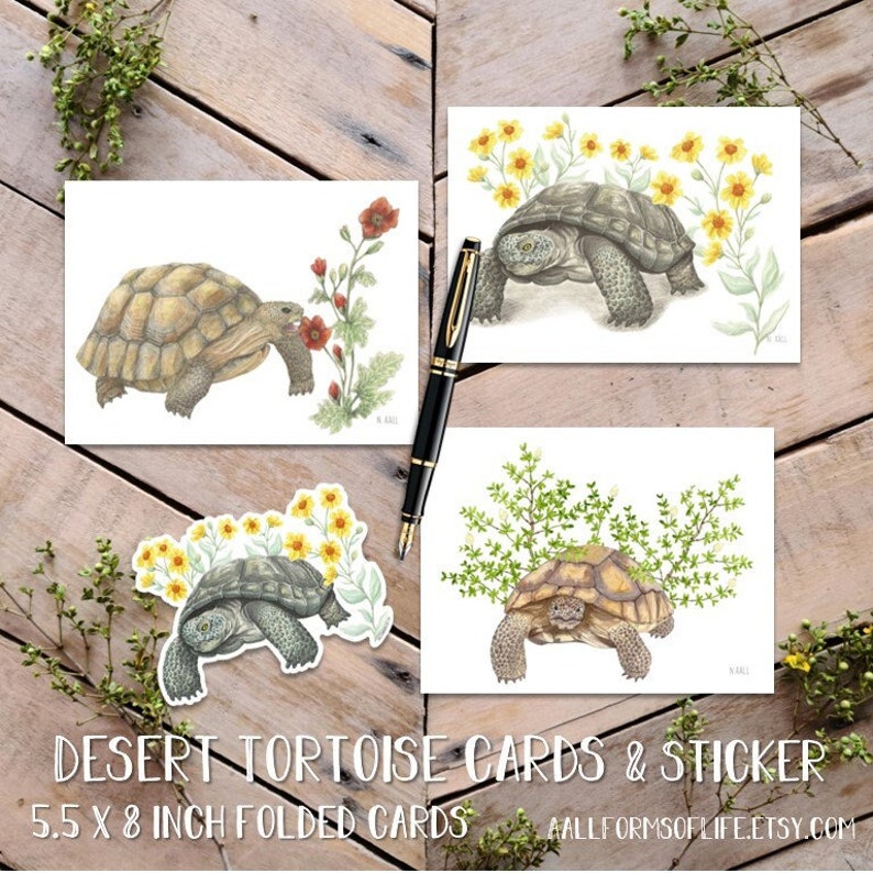 Desert Tortoise Card Pack with Sticker, Turtle Cards, Desert Turtle Art Notecards, Tortoise Greeting 3 Cards & Sticker