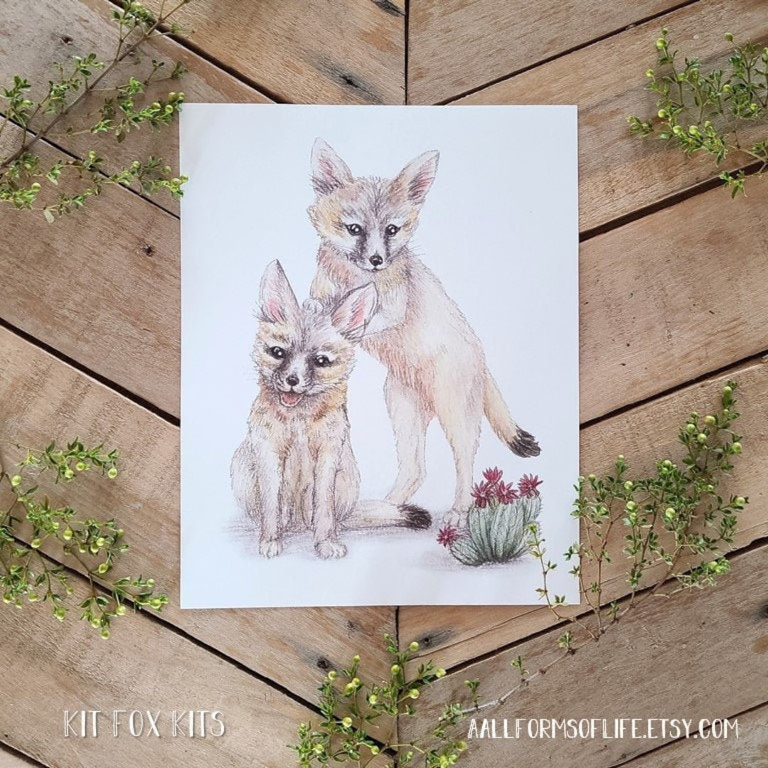 Kit Fox Kits Illustration Art Print, Natural Science Illustration