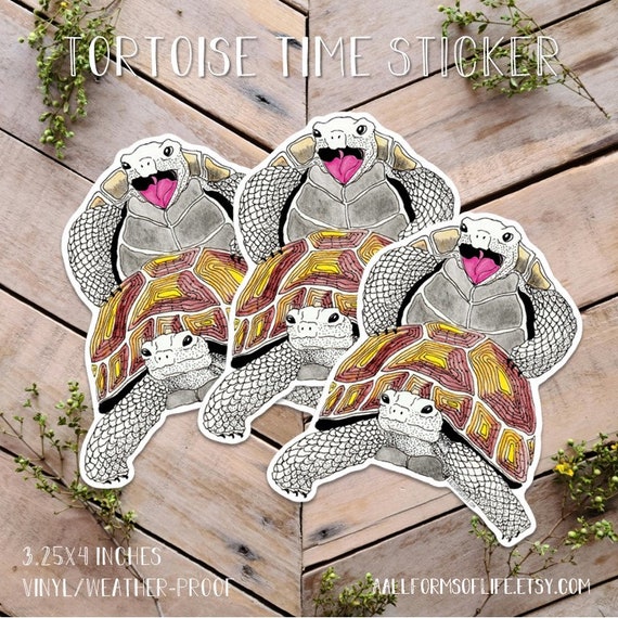 Tortoise Time Sticker Funny Turtle Sex Sexy Tortoise Art
