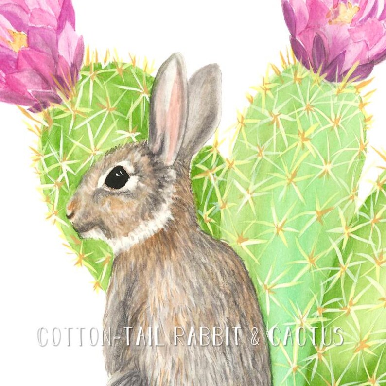 Cottontail Rabbit Art Print, Rabbit and Hedgehog Cactus Illustration ...