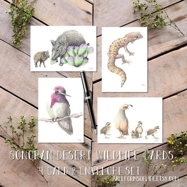 Sonoran Desert Wildlife Notecards, scientific illustration, nature cards, gecko greeting cards, Quail baby card, hummingbird, javelina card image 1